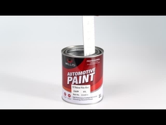 169 1K 中程度の白銀